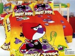 CSD101 Angry Birds,  , 